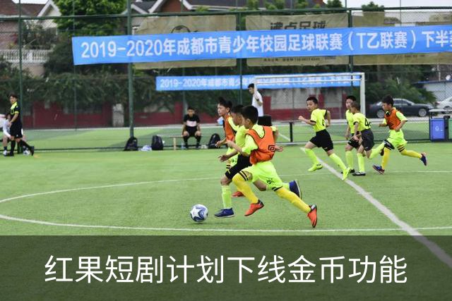 红果短剧计划下线金币功能